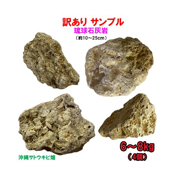 【送料無料】訳あり　琉球石灰岩　お試し　6〜8kg(4個)