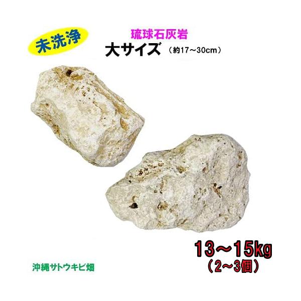 【送料無料】E 琉球石灰岩　未洗浄　大サイズ　13〜15kg(2〜3個)