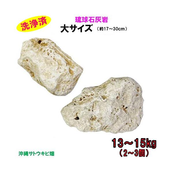 【送料無料】F 琉球石灰岩　洗浄済　大サイズ　13〜15kg(2〜3個)