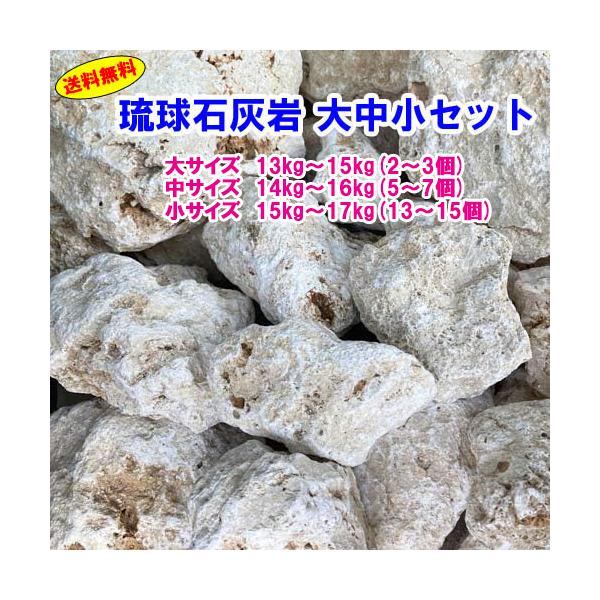 【送料無料】N 琉球石灰岩　洗浄済　大中小セット　10000円ポッキリ