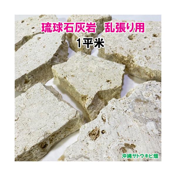 送料無料】琉球石灰岩 乱張り用 1平米 : りゅうか商事 - 通販 - Yahoo