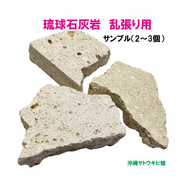 【送料無料】琉球石灰岩　乱張り用　サンプル　2〜3個