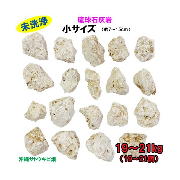 【送料無料】G 琉球石灰岩　未洗浄　小サイズ　19〜21kg(19〜21個)