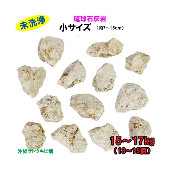 【送料無料】A 琉球石灰岩　未洗浄　小サイズ　15〜17kg(13〜15個)
