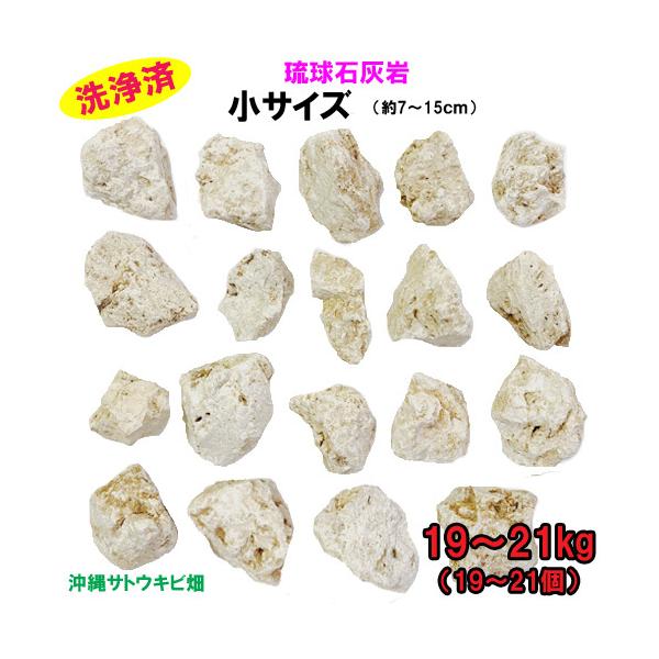 【送料無料】H 琉球石灰岩　洗浄済　小サイズ　19〜21kg(19〜21個)