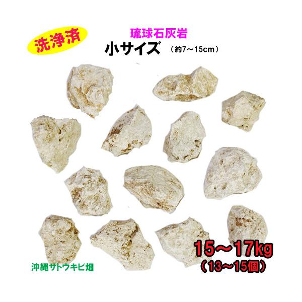 琉球石灰岩」の人気商品一覧 | 安い商品を通販サイトから探す