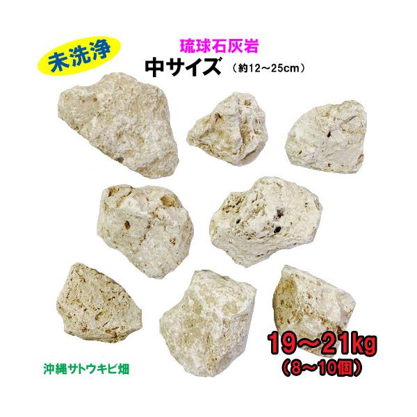 【送料無料】I 琉球石灰岩　未洗浄　中サイズ　19〜21kg(8〜10個)