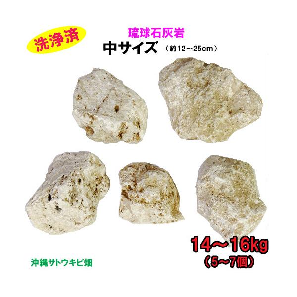 ガジュマル　琉球石灰岩巻き付 楽天市場】琉球石灰岩 組み合わせ約15kgセット（アソート