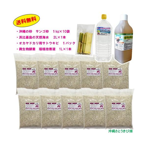 IJhJZbg@TS10kgEC2LETgELrEPtPL