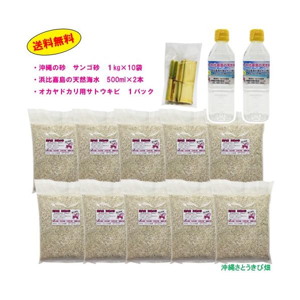 IJhJZbg@TS10kgEC500ml×2ETgELr