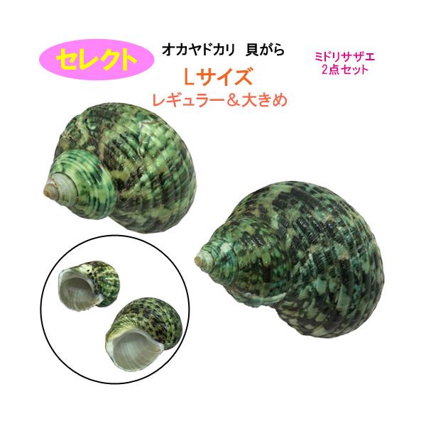 ryuuka_yado-select-midori2ten