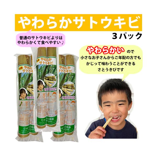 ryuuka_yawaraka3p ryuuka_yawaraka3p