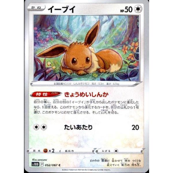 イーブイ　1枚　50円　きょうめいしんか ryuunoshippo_240391485
