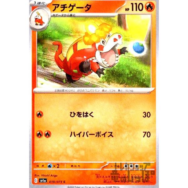 ryuunoshippo_240807102