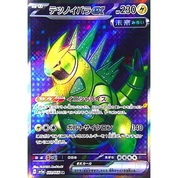 ポケモンカード　テツノイバラex RR 100枚セット テツノイバラex(081/066 SR)/ポケモンカード : トレカショップ竜