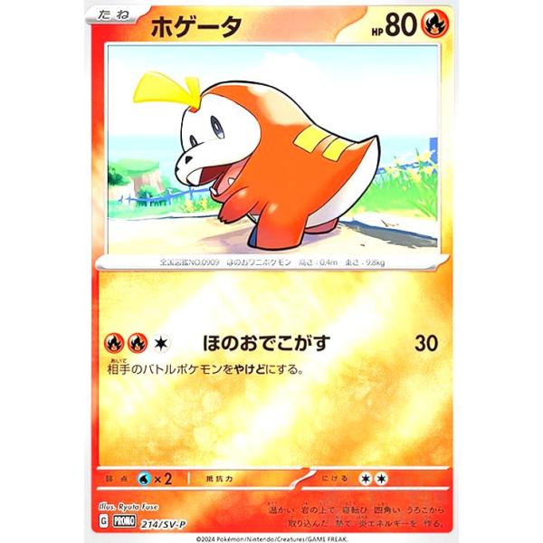 ホゲータ(214/SV-P) ポケモンカード : トレカショップ竜のしっぽ Yahoo