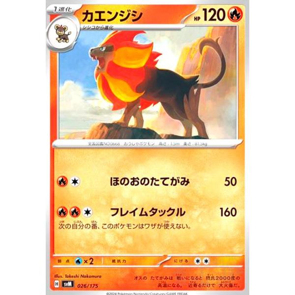 カエンジシ(ほのおのたてがみ/フレイムタックル) ポケモンカード