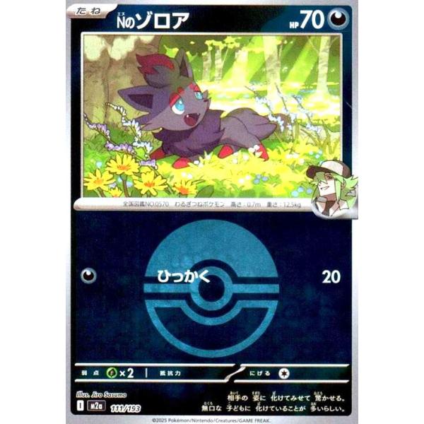 Nのゾロア(ミラー)(111/193)【ボール柄】 ポケモンカード : トレカ