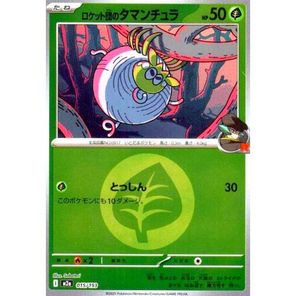 ryuunoshippo_240821310