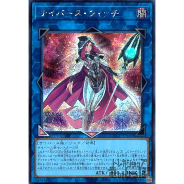 ryuunoshippo_242000010305