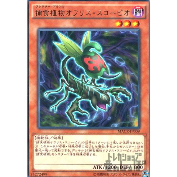 捕食植物オフリススコーピオ(高価N)/闇ハ06-8 遊戯王 : トレカショップ