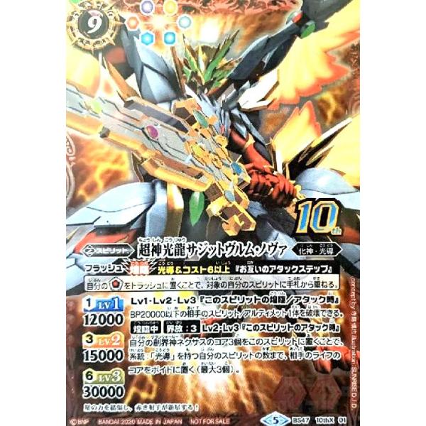 ryuunoshippo_744841