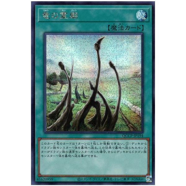竜の霊廟(シークレット)(QCCP-JP194) 遊戯王 : トレカショップ竜の