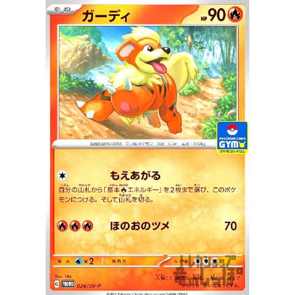 ガーディ(024・SV-P)/炎 ポケモンカード : トレカショップ竜のしっぽ