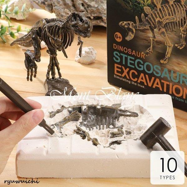 知育玩具 男の子 恐竜 プレゼント 誕生日プレゼント 入学祝い クリスマスプレゼント 化石 発掘 宝石 おもちゃ 6歳 7歳 8歳 9歳 10歳 キット 知育 知的 興味 子供用 景品 ギフト プレゼント ブラウン ベージュ 友達 面白い ...