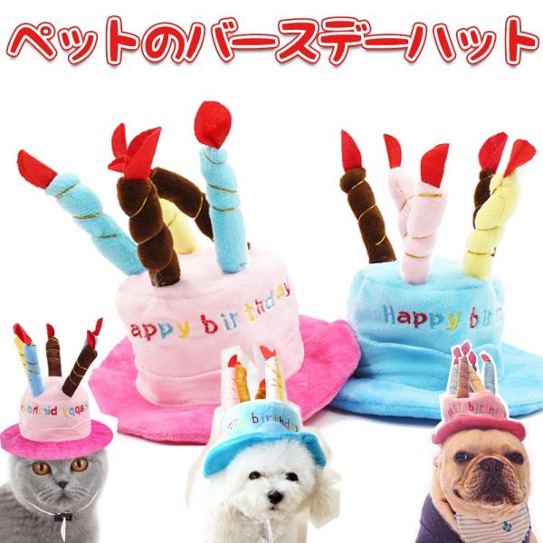 愛犬 愛猫用 楽しい誕生日をもっと楽しく プレゼント ギガランキングｊｐ