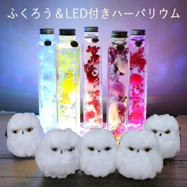 n[oE  v[g Mtgo   JXj  ސE e e  ӂ낤 tNE LED