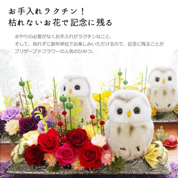 プリザーブドフラワー プレゼント ギフト ブリザード 退職祝い 送別 和風 ふくろう 誕生日 女性 花 おしゃれ ランキング 長寿のお祝い 花長寿 Buyee Buyee Japanese Proxy Service Buy From Japan Bot Online