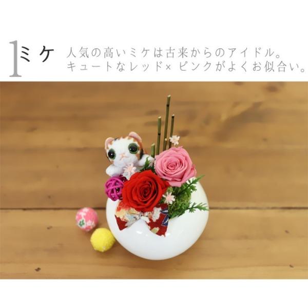 プリザーブドフラワー 母の日 花 21 プレゼント ギフト ブリザード 退職祝い 送別 猫 ネコ ねこ和風 誕生日 花 おしゃれ ランキング 還暦祝い 豆ねこ Buyee 日本代购平台 产品购物网站大全 Buyee一站式代购 Bot Online