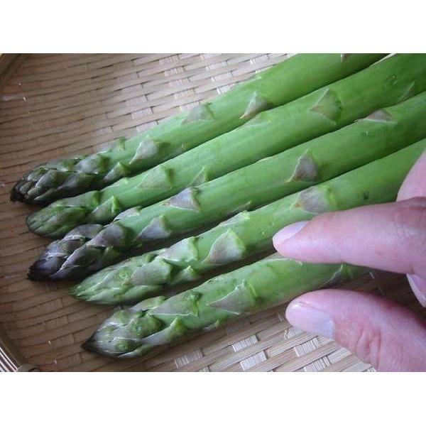2l1kg 路 地アスパラガス 産地直送 信州中野産 グリーンアスパラ 2l 1kg C330 Asupara R 4000 あさひ屋 通販 Yahoo ショッピング