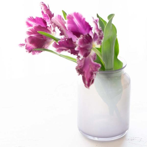 Henrydean ヘンリーディーン V Bern H14 5 ベルン ヘロン ガラス花瓶 花器 Buyee Buyee 日本の通販商品 オークションの代理入札 代理購入