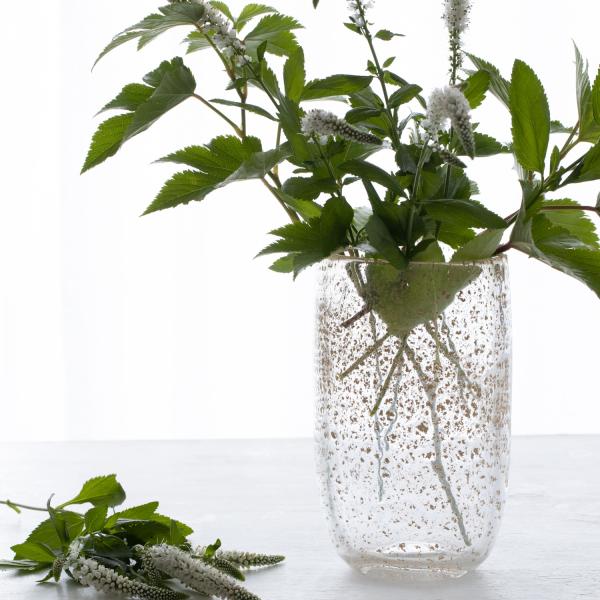 s-colourliving_hdjoeb