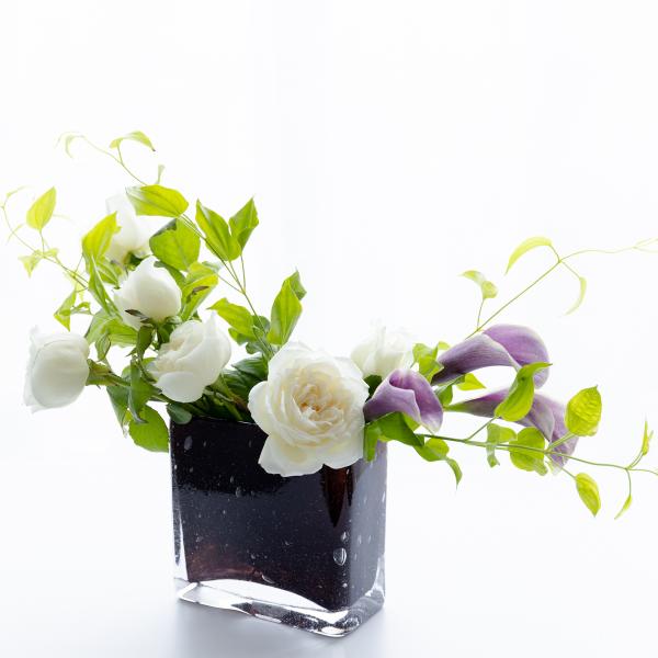 s-colourliving_hdsqxsbrn s-colourliving_hdsqxsbrn