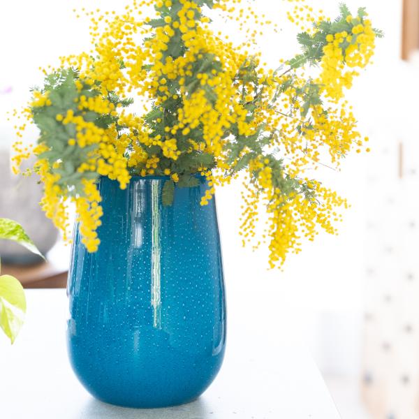 s-colourliving_hdstbscls s-colourliving_hdstbscls