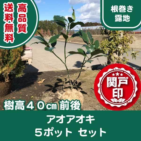 i AIAIL NAIL In^Cv 5|bgZbg 40cmO (֓ECE֐EkEMzɌ) r[ēT!