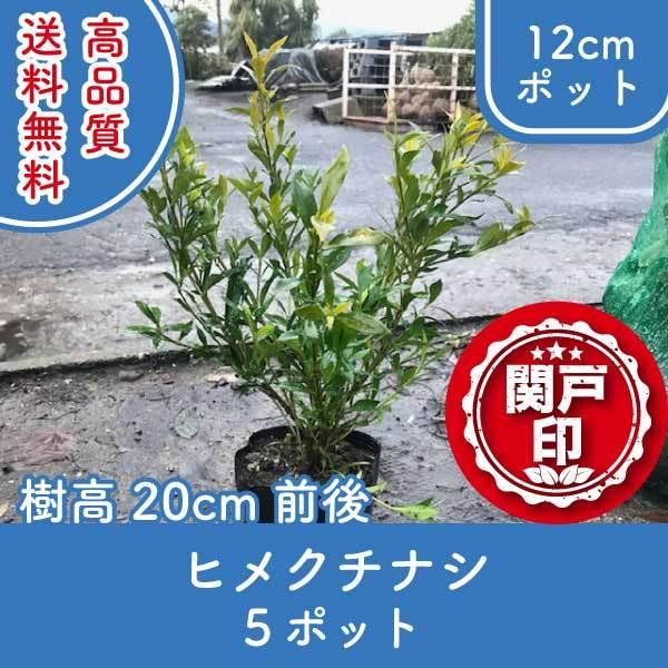 i qN`iV 12cm|bg(ɂĕςꍇ)5|bg 20cmO (֓ECE֐EkEMzɌ) r[ēT!