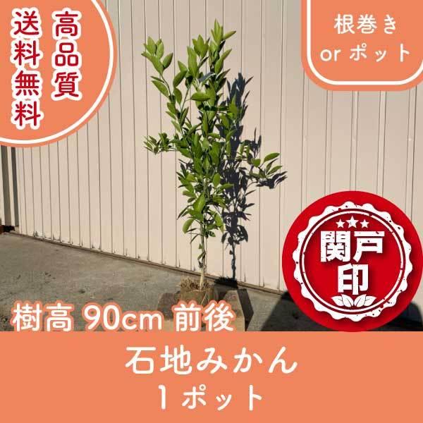 i Βn݂ or|bg 1|bg 90cmO (֓ECE֐EkEMzɌ) r[ēT