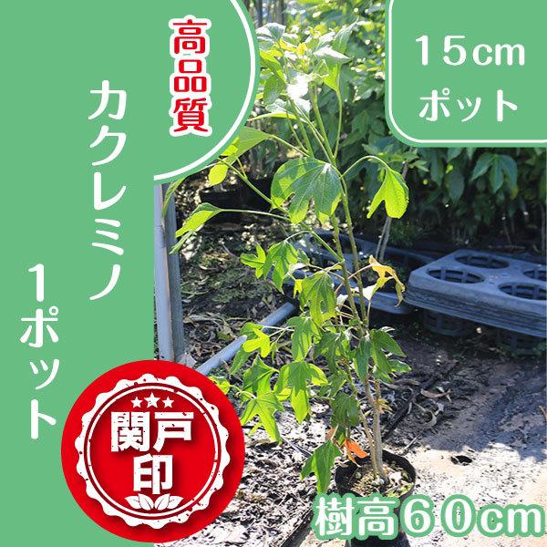 i@JN~m@15cm|bg@1@r[ēT@V{c[@