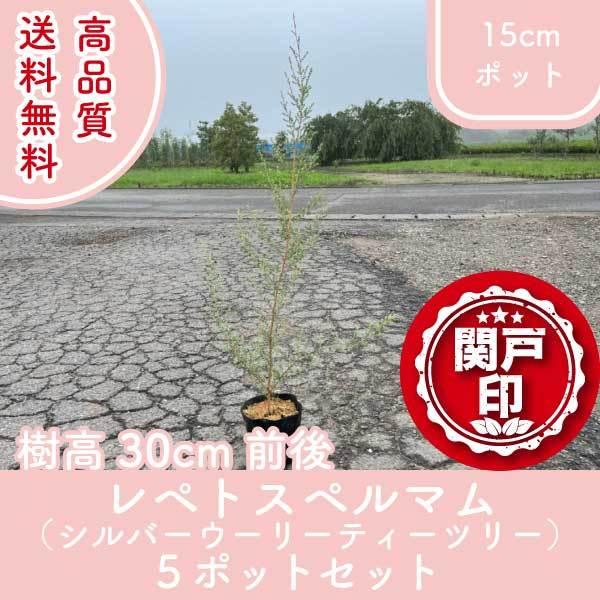 i ygXy} Vo[E[[eB[c[ 15cm|bg 5|bg 30cmO (֓ECE֐EkEMzɌ) r[ēT