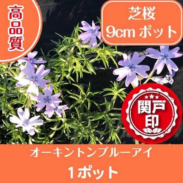 i ō I[Lgu[AC 9cm|bg 1|bg ll10|bg܂ OhJo[  kCւ̔zs OhJo[  G΍ c