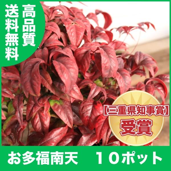 i yɍgty߂ V 10|bg (֓ECE֐EkEMzɌ) r[LœT