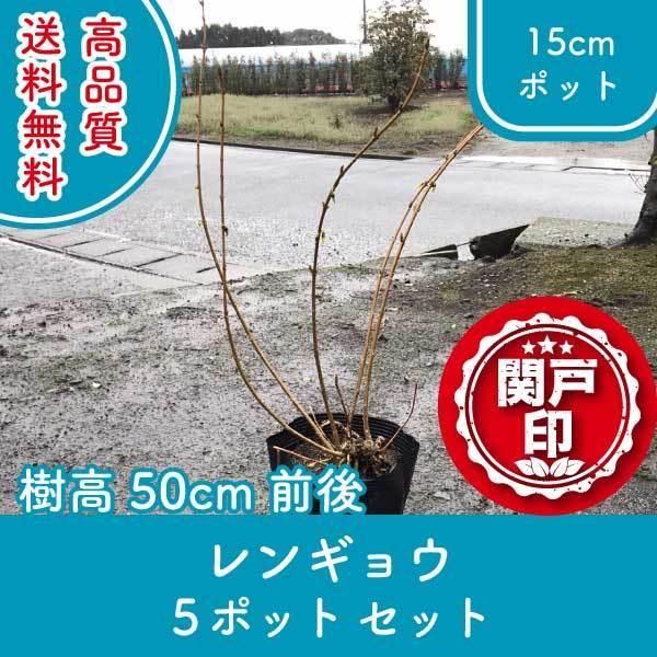 i ME 15cm|bg 5|bgZbg 50cmO (֓ECE֐EkEMzɌ) r[ēT!  