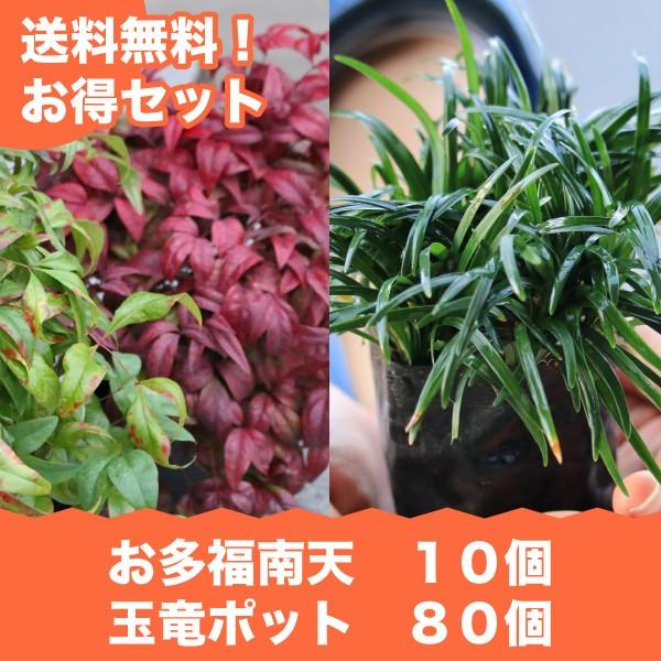 fRȃOhJo[ZbgIʗ(^}E)|bg^Cv80V10I(֓ECE֐EkEMzɌ)