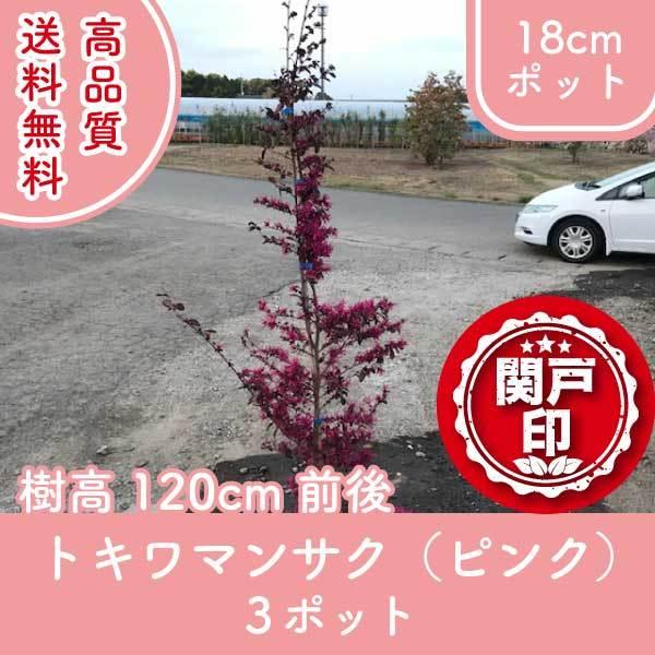 i gL}TN sN 18cm|bg 3|bgZbg 120cmO _ɍœK (֓ECE֐EkEMzɌ) r[ēT!