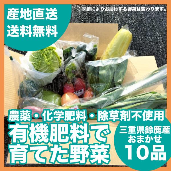 農薬・化学肥料・除草剤不使用、有機肥料で育てた季節ごとの旬なお野菜おまかせ10品をお届けいたします！鈴鹿山脈の恵みが生む野菜本来の美味しさを食卓に。毎日に彩りを。【ご購入時にご注意ください！】※お写真のお野菜はサンプルになります。※お入れす...