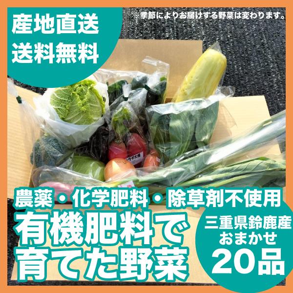 農薬・化学肥料・除草剤不使用、有機肥料で育てた季節ごとの旬なお野菜おまかせ20品をお届けいたします！鈴鹿山脈の恵みが生む野菜本来の美味しさを食卓に。毎日に彩りを。【ご購入時にご注意ください！】※お写真のお野菜はサンプルになります。※お入れす...